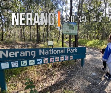 Nerang national park