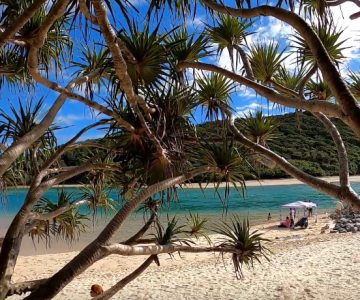 Tallebudgera Creek